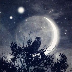 Meet your Posher, Rusty